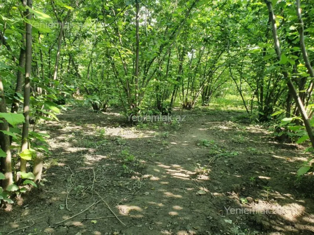 Satılır 5 otaqlı həyət evi 158.3 m²