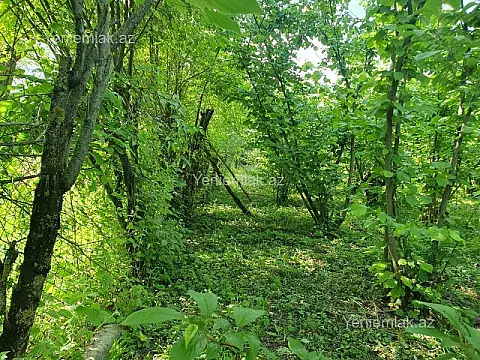 Satılır 5 otaqlı həyət evi 158.3 m²