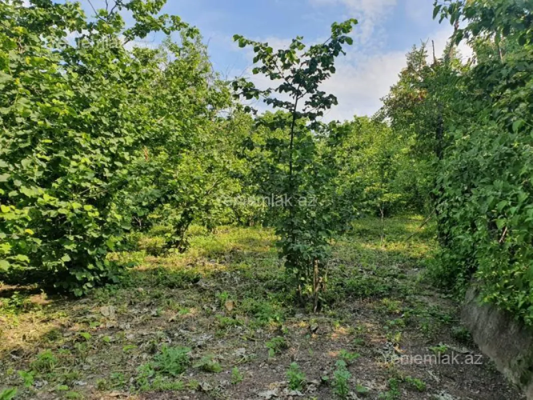 Satılır 5 otaqlı həyət evi 158.3 m²