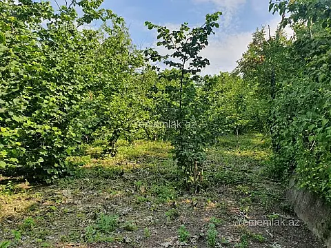 Satılır 5 otaqlı həyət evi 158.3 m²