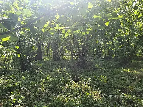 Satılır 5 otaqlı həyət evi 158.3 m²