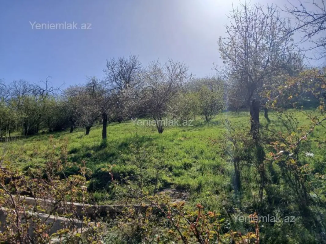 Satılır 5 otaqlı həyət evi 197 m²