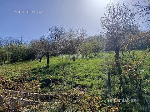 Satılır 5 otaqlı həyət evi 197 m²