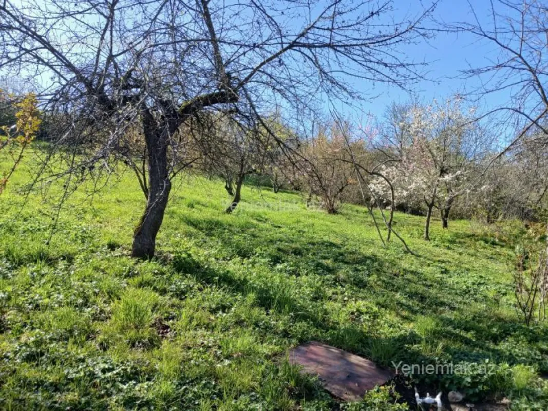 Satılır 5 otaqlı həyət evi 197 m²