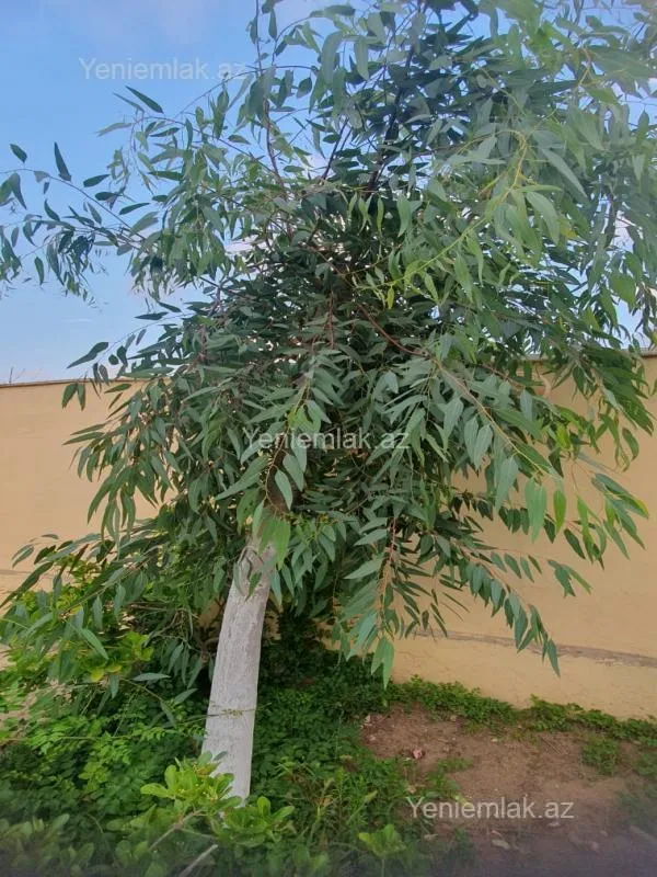 Satılır 5 otaqlı həyət evi 200 m²