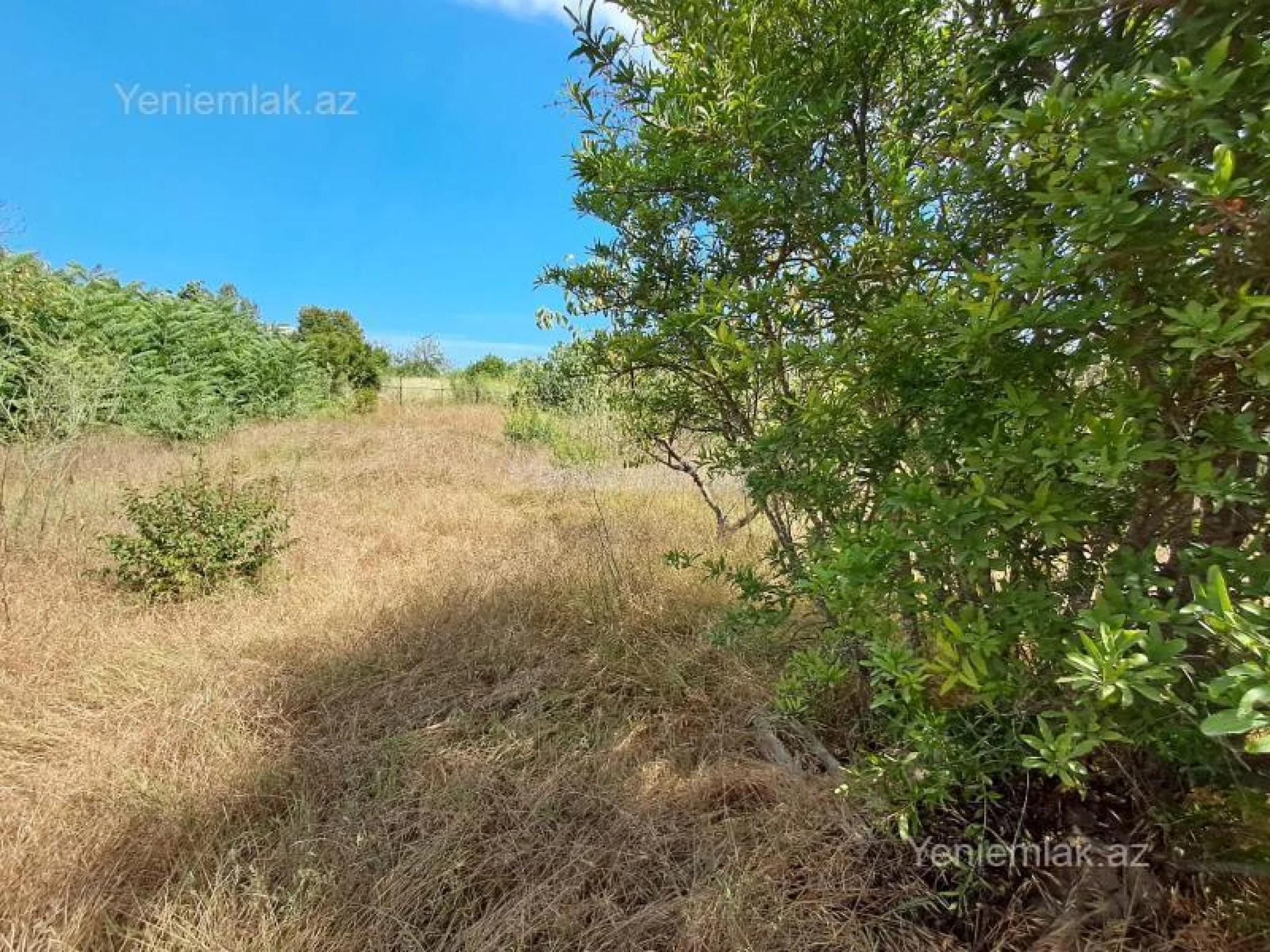 Satılır torpaq sahəsi