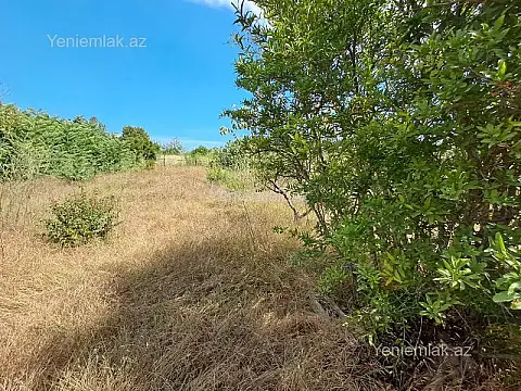 Satılır torpaq sahəsi