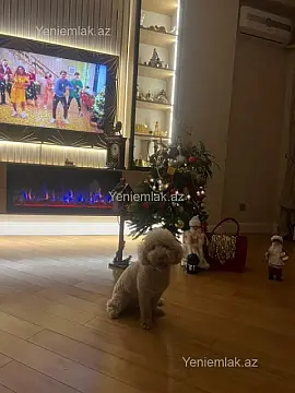 Satılır 3 otaqlı yeni tikili 105 m²