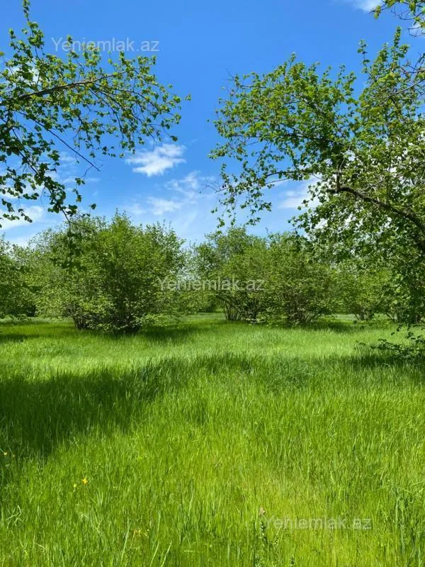 Satılır torpaq sahəsi