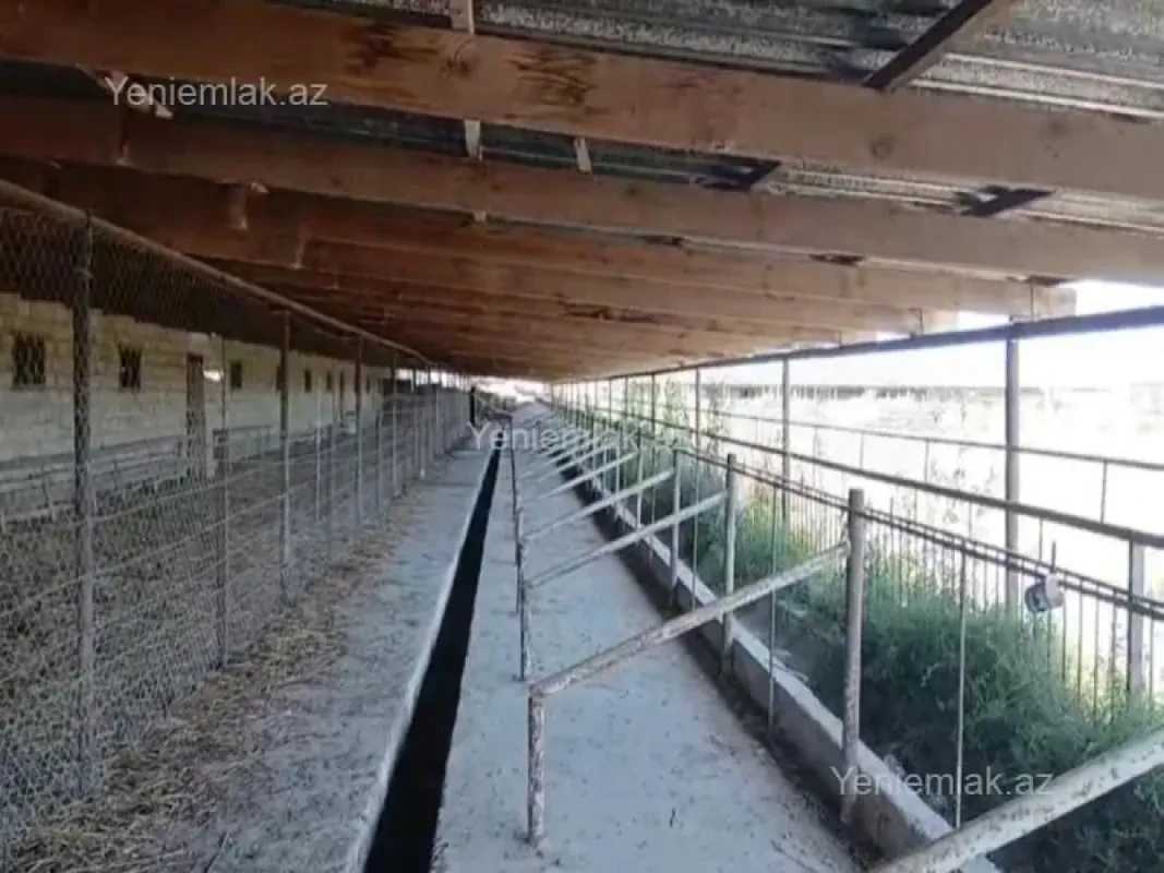 Satılır 16 otaqlı obyekt 60000 m²