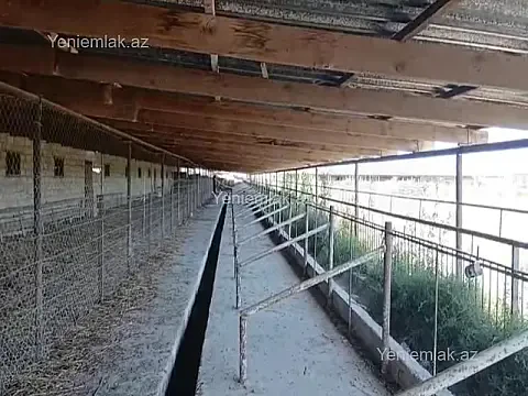 Satılır 16 otaqlı obyekt 60000 m² — Bakı, Qaradağ 16 otaq 60000.00 m²