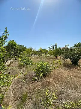 Satılır torpaq sahəsi — Bakı, Binəqədi