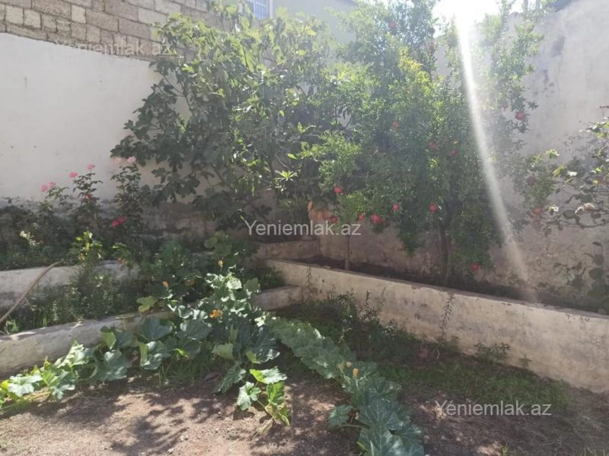 Satılır 8 otaqlı həyət evi 300 m²