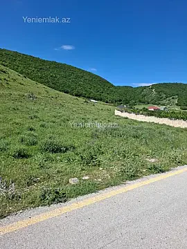 Satılır torpaq sahəsi — Şamaxı