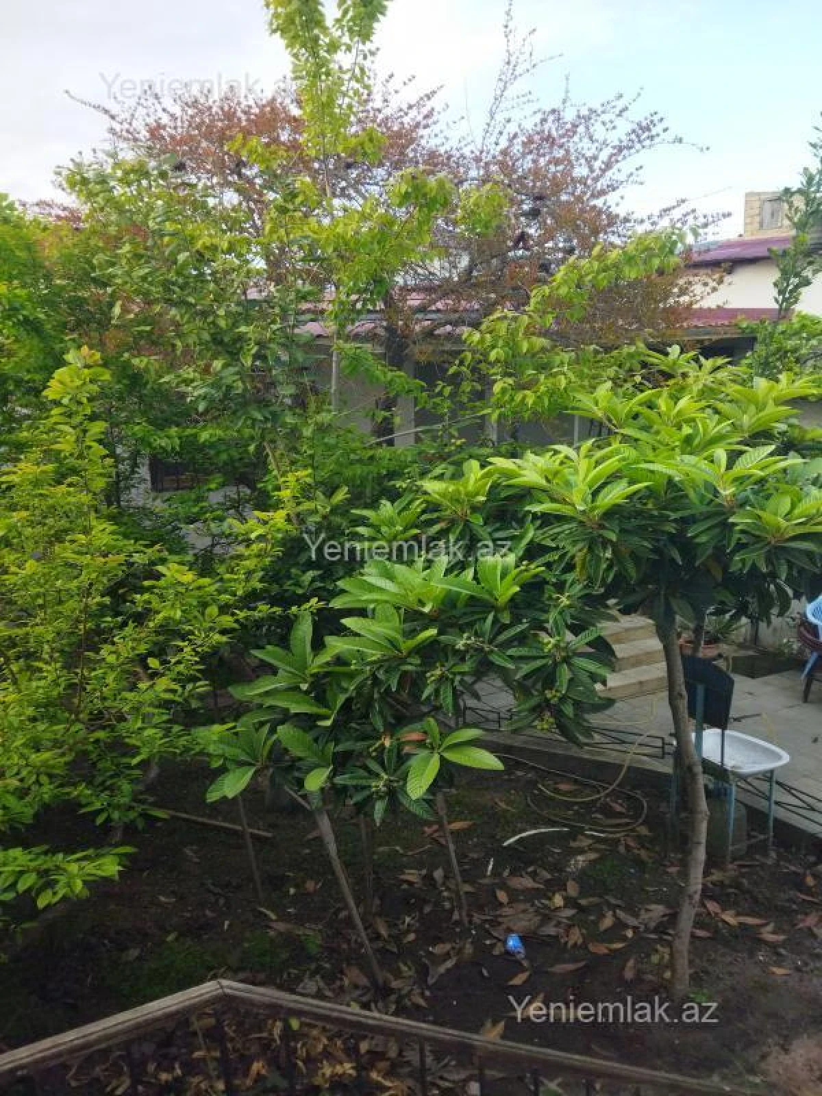 Satılır 2 otaqlı həyət evi 60 m²