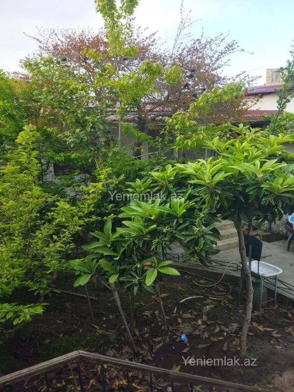 Satılır 2 otaqlı həyət evi 60 m²