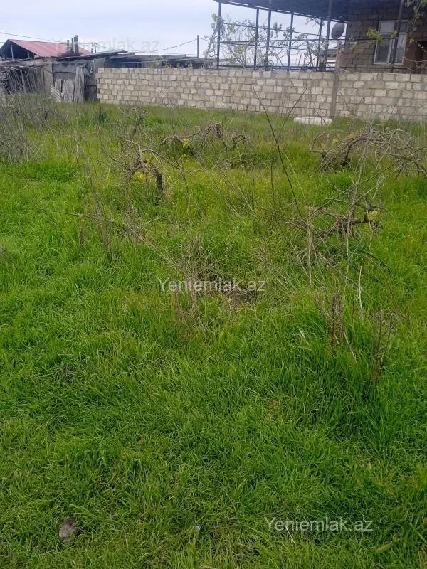 Satılır torpaq sahəsi