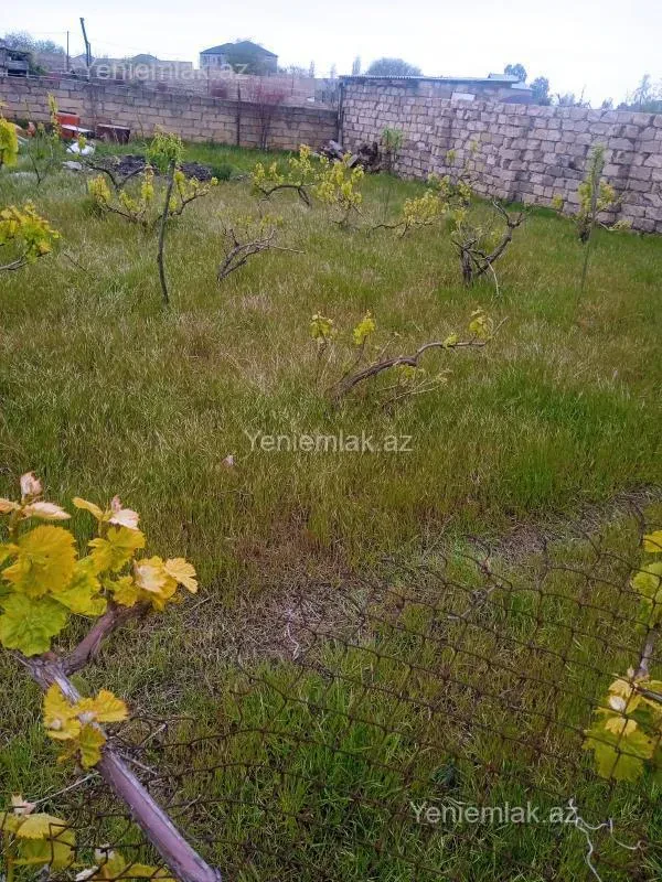 Satılır torpaq sahəsi