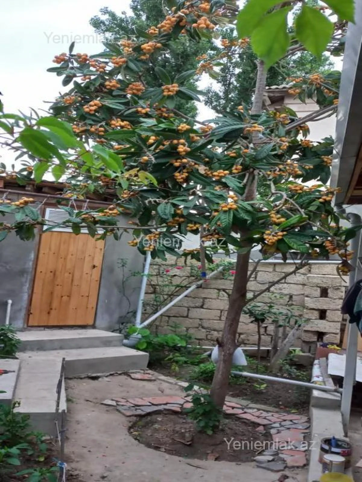 Satılır 2 otaqlı köhnə tikili 50 m²