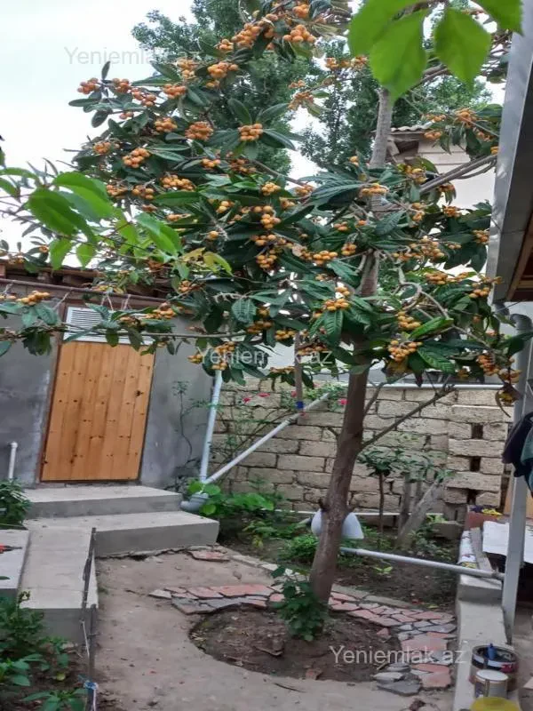 Satılır 2 otaqlı köhnə tikili 50 m²