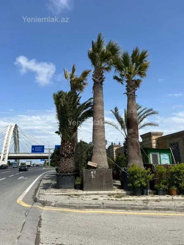 Satılır 4 otaqlı həyət evi 90 m²