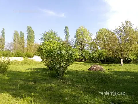 Satılır torpaq sahəsi — Qəbələ
