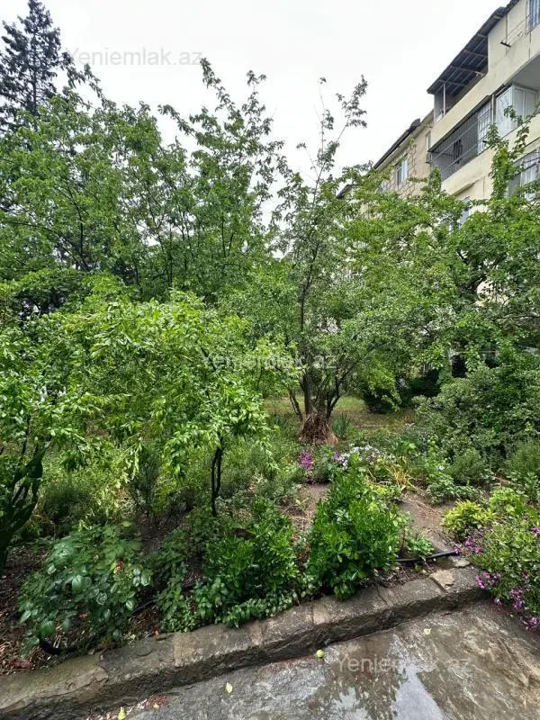Satılır 3 otaqlı köhnə tikili 80 m²