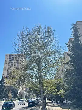 Satılır 2 otaqlı köhnə tikili 60 m² — Bakı, Yasamal 2 otaq 60.00 m²