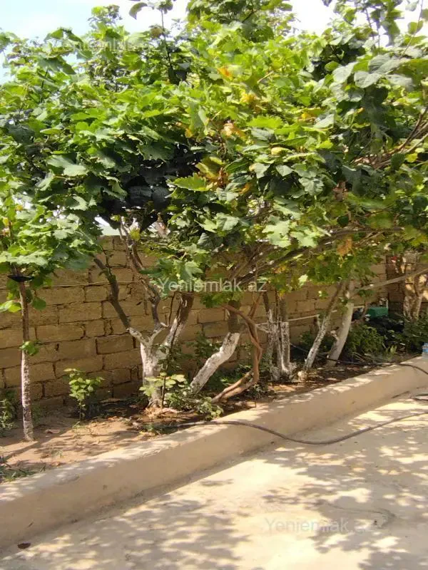 Satılır 3 otaqlı həyət evi 120 m²