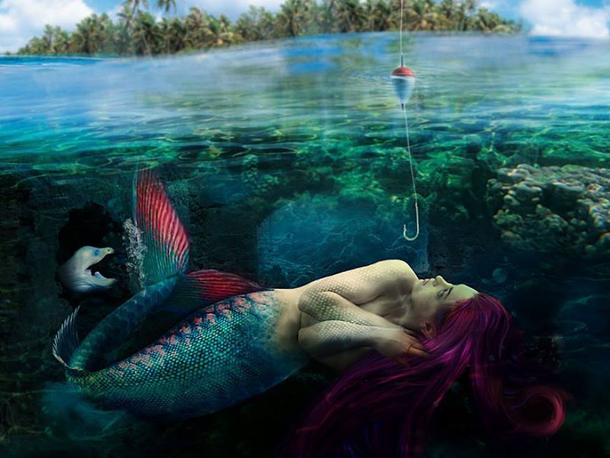 Как говорят русалки. Настоящие русалки. Шарж русалка. Девочка русалка. Как говорят русалки.