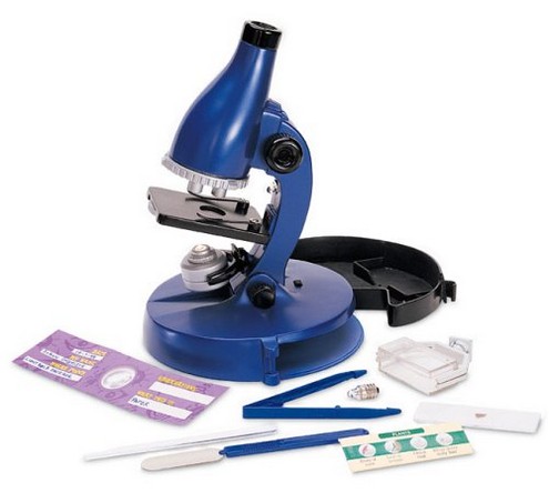 Primary Microscope 