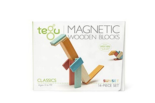 14 Piece Tegu Magnetic Wooden Block Set 