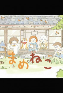 まめねこ