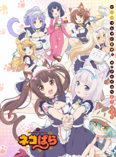 ネコぱら
