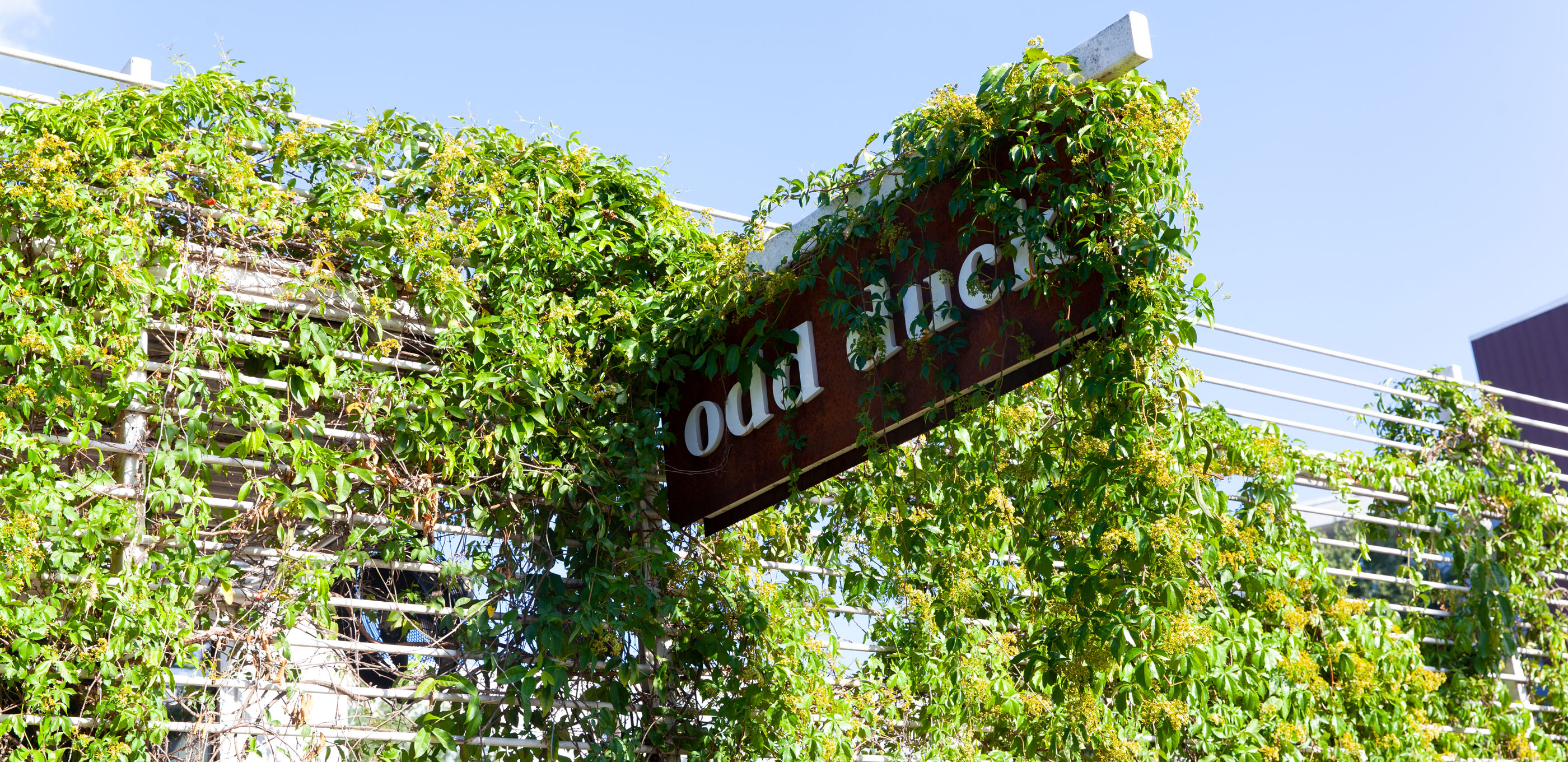 Odd Duck – Austin, TX