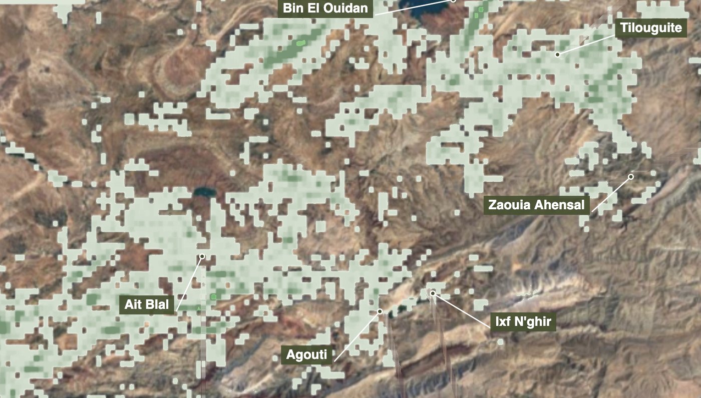 Current forest cover around Aït Bouguemez, 2013