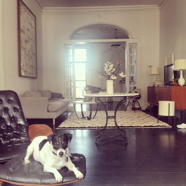 The Cooperative's rug at its new home in Brooklyn, New York. Is there a need for high end boutiques to make these rugs look great?