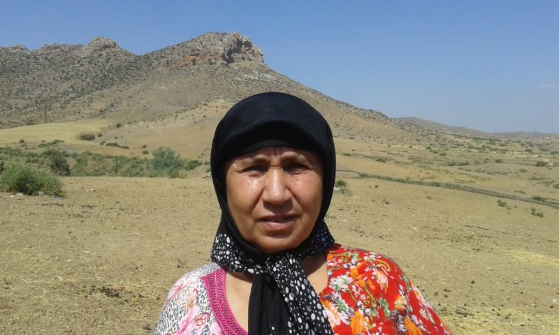 Hlima Najib