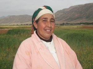 Itto Shedli