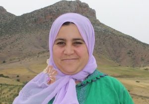 Hafida Mehboub