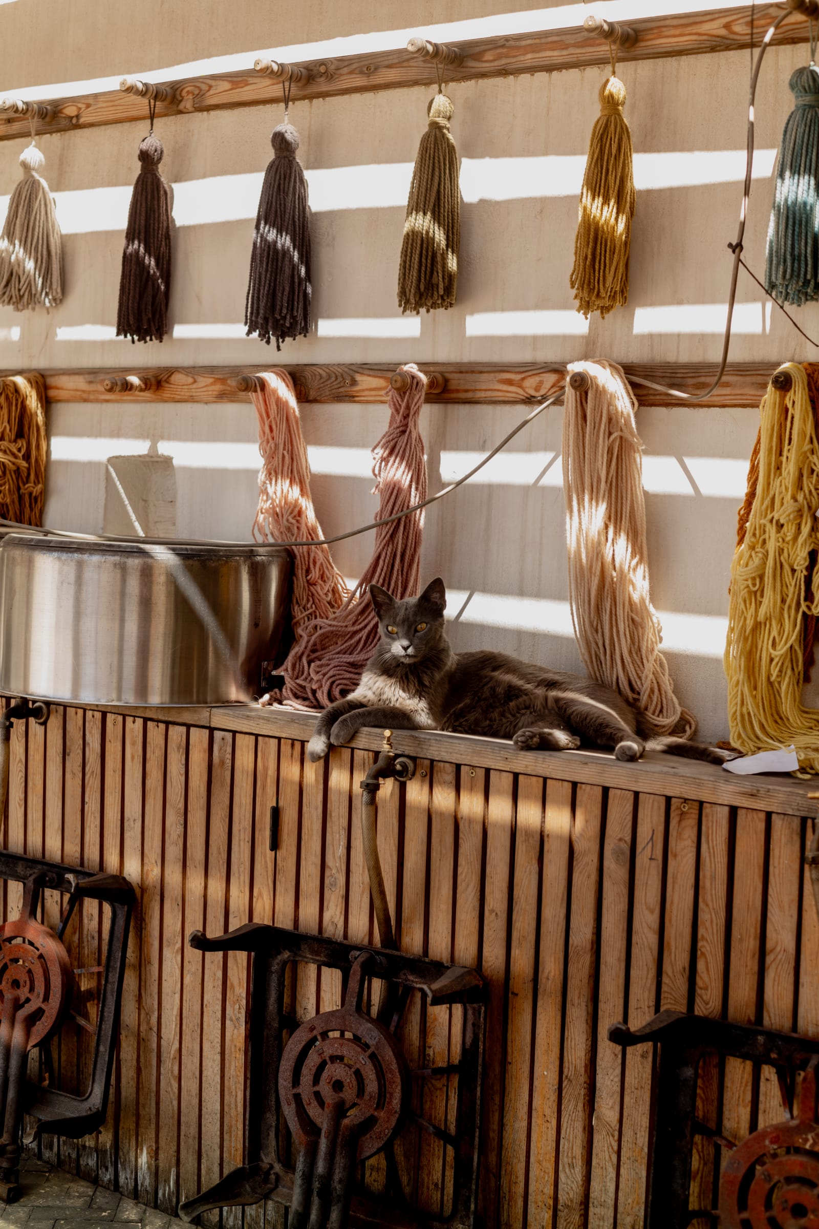 Natural dye workshop