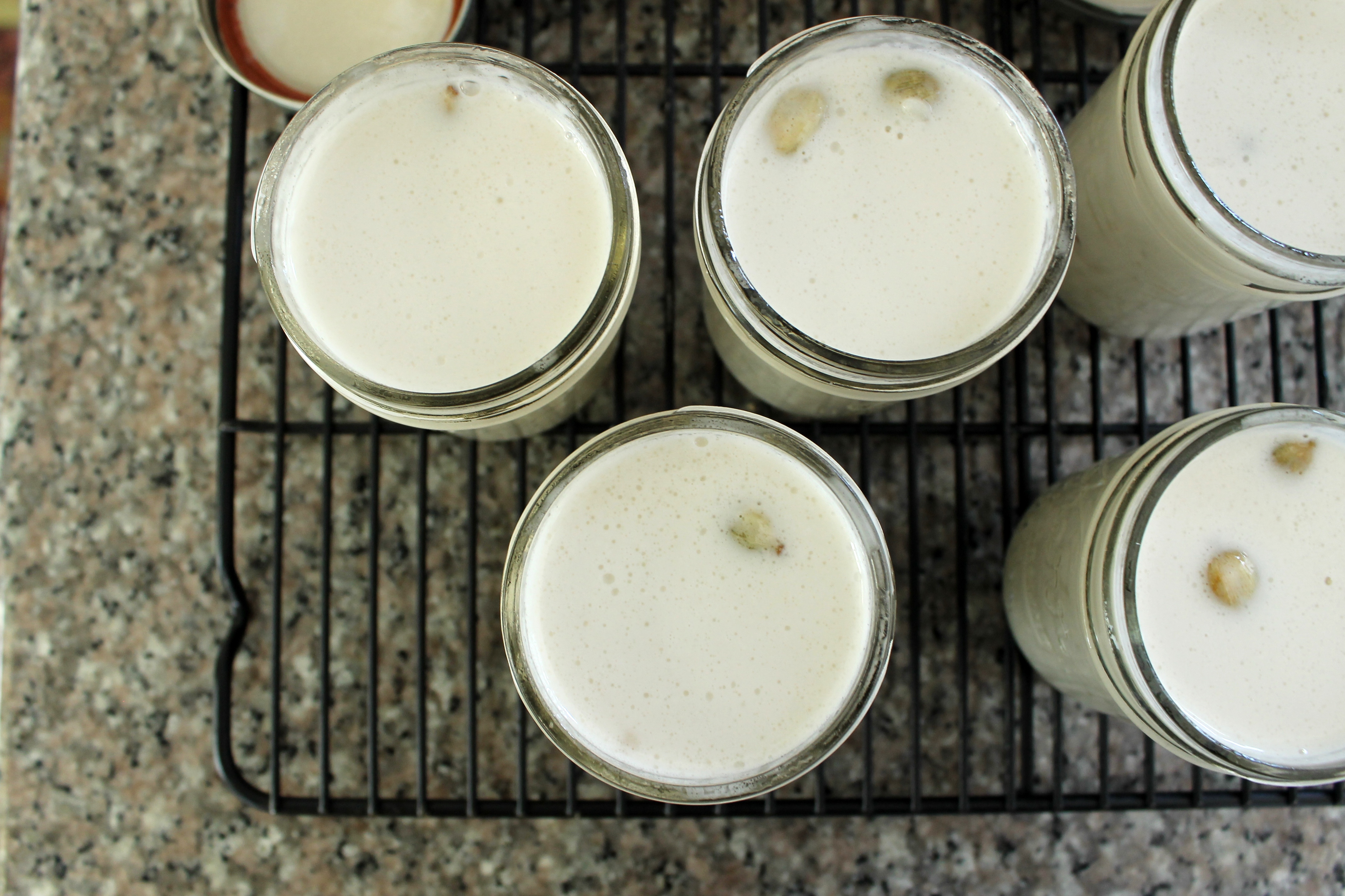 Sous Vide Coconut Milk Kheer