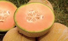 images 060314