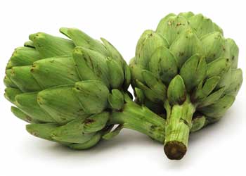 Artichoke