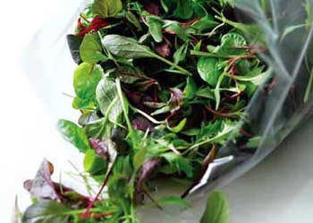 Bagged Salads