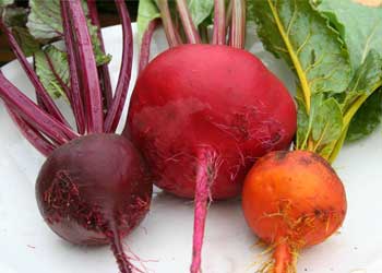 Beets