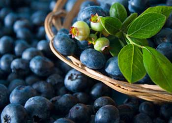 Blueberries