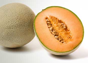 Cantaloupe
