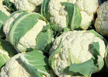 Cauliflower