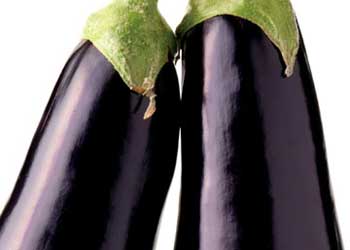 Eggplant